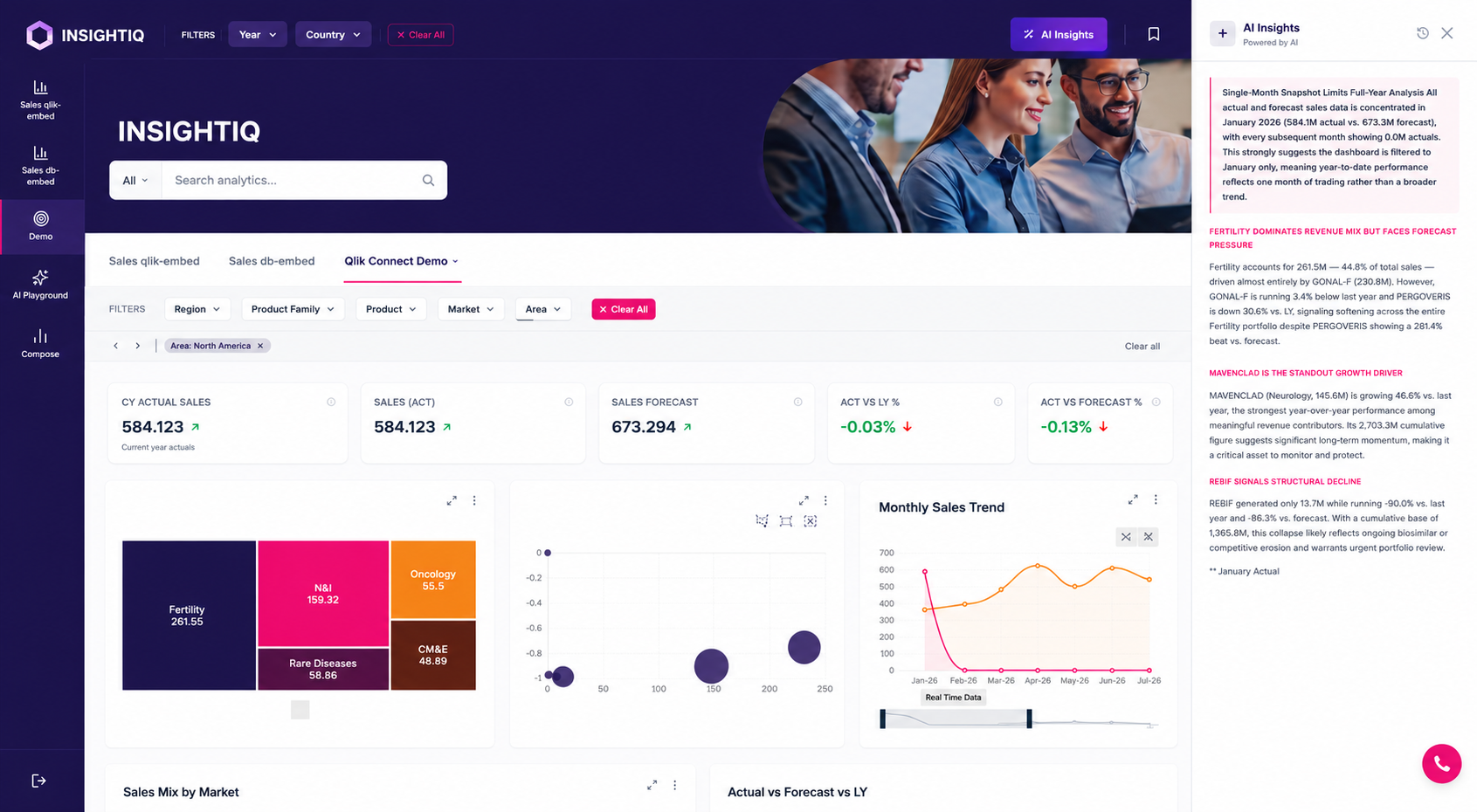 dbEmbed branded analytics portal example, alternate brand skin